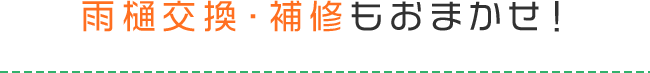 雨樋交換・補修もおまかせ！