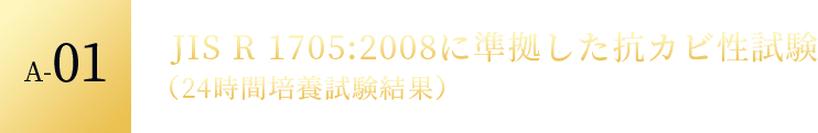 A-01 JIS R 1705:2008に準拠した抗カビ性試験 (24時間培養試験結果)