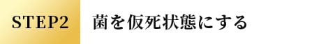 STEP2 菌を仮死状態にする