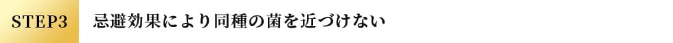 STEP3 忌避効果により同種の菌を近づけない