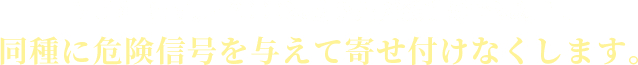 Mold Buster-2000は菌をただ殺すのではなく、 同種に危険信号を与えて寄せ付けなくします。